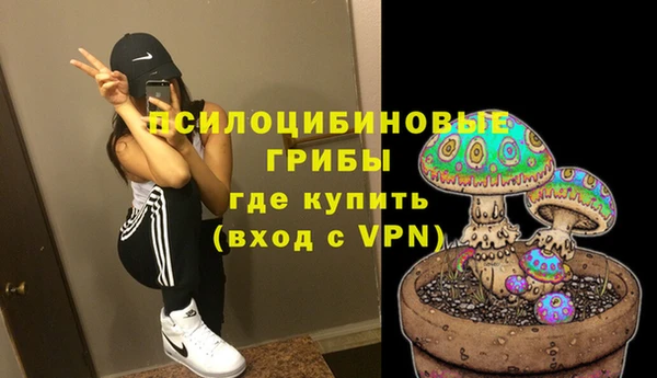 мяу мяу мука Белоозёрский