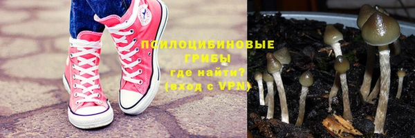 бошки Баксан