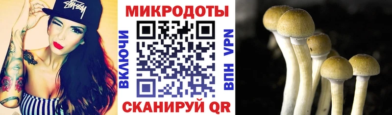 Псилоцибиновые грибы Cubensis  ОМГ ОМГ зеркало  Вятские Поляны 